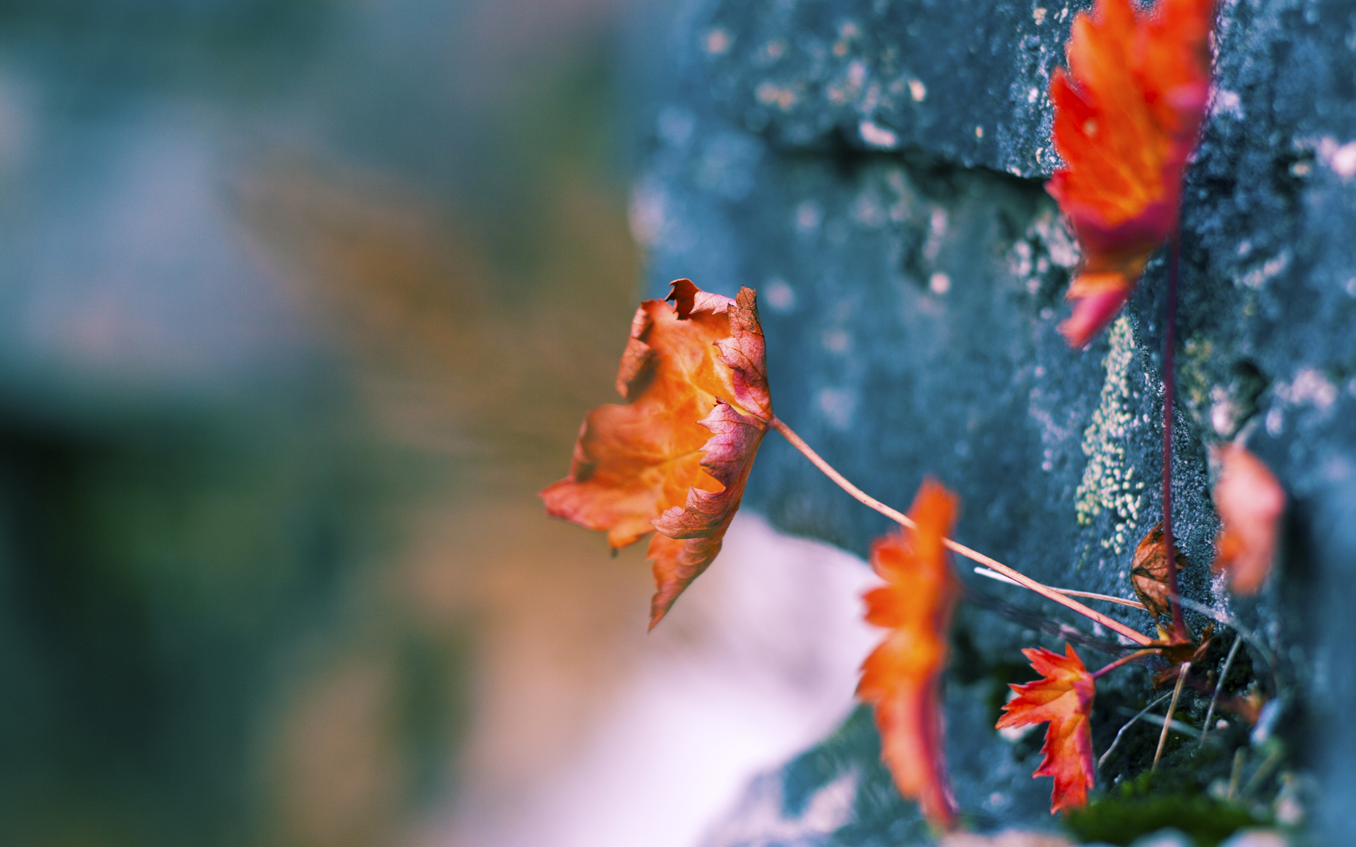 世界U18田径锦标赛中国少年破纪录，u18田径比赛