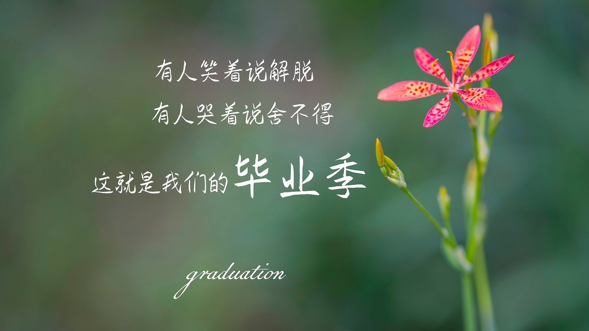 世界摩托艇锦标赛大连站吸引众多关注,2021年摩托艇大赛