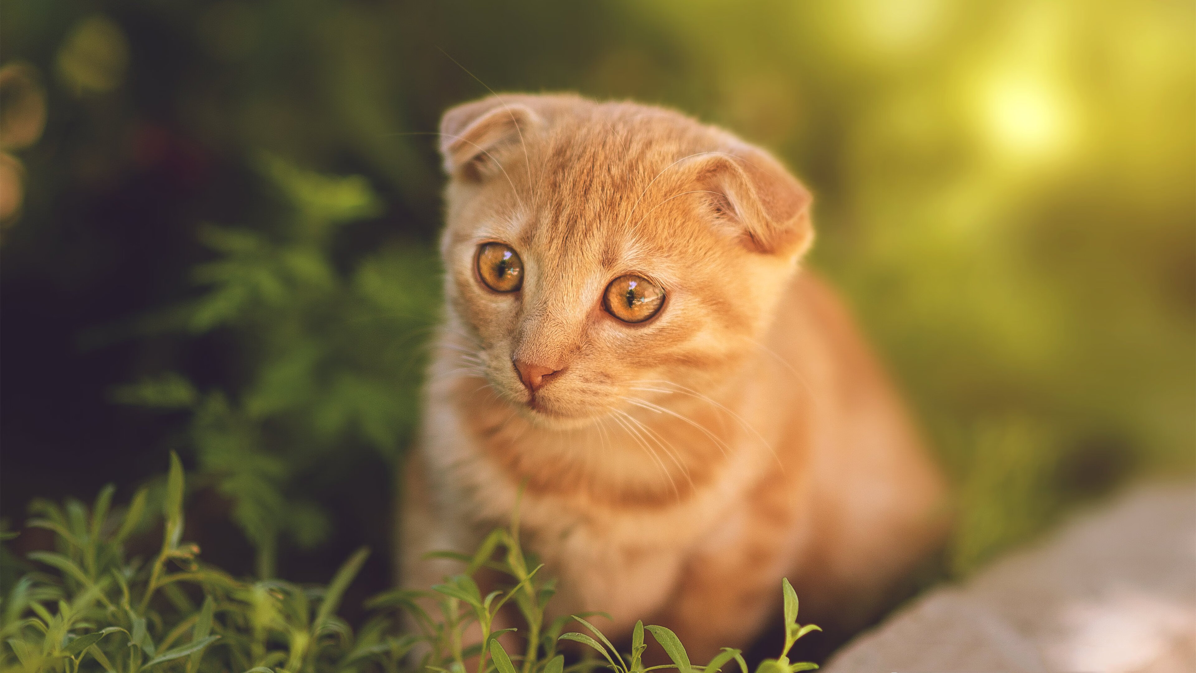 九游app官网下载-2025年9月16-17日足球大战焦点及趋势预测，2021大型足球比赛时间表