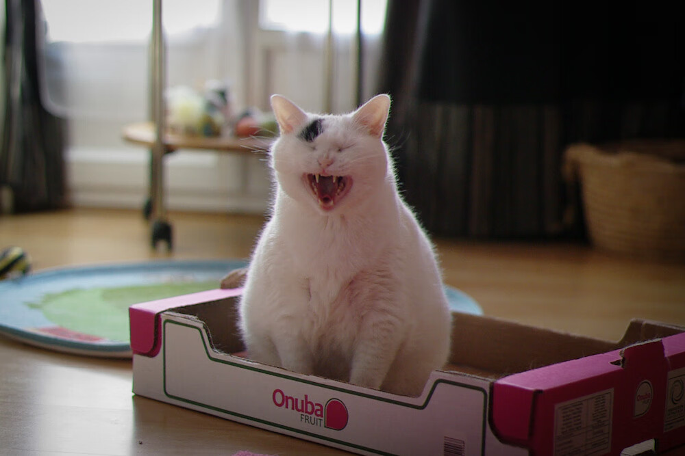 九游游戏中心-28岁登贝莱感慨万千，六年磨炼终迎金球，登贝莱现状