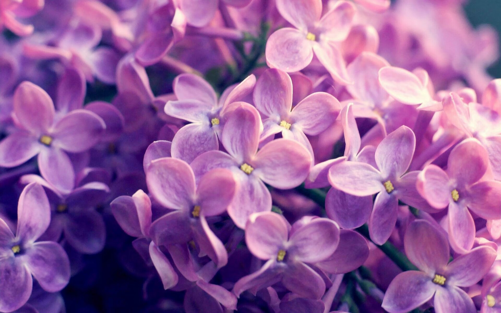 九游官网pc-中国篮球在主流视频平台排行榜中的曝光频次变化趋势，国内篮球比赛视频网站