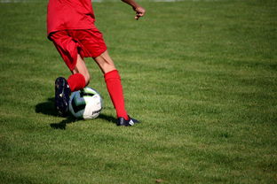 九游(jiuyou)官方网站-中国足球青年联赛系统标准化形态剖析，全国足球青年联赛