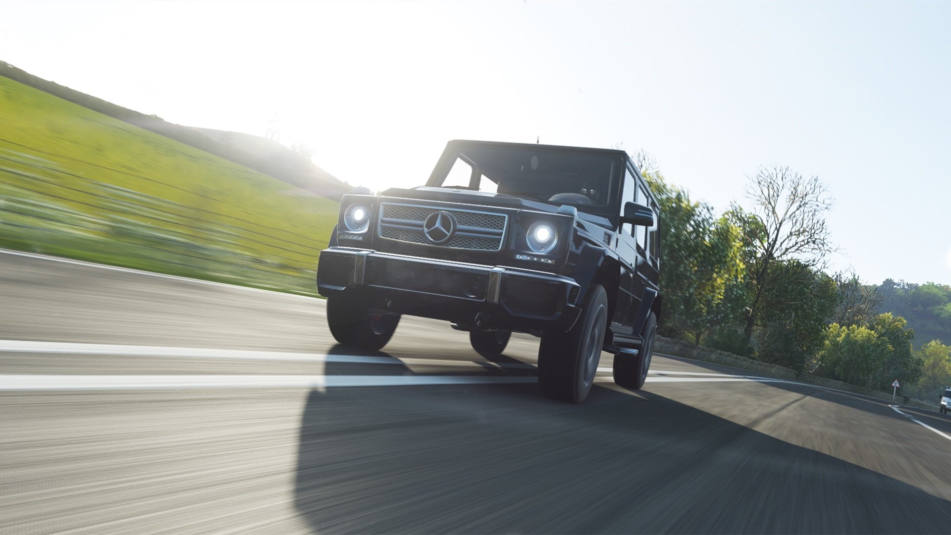 -中方启动调查：美墨碧根果涉嫌扰乱市场，美国碧根果核桃图片